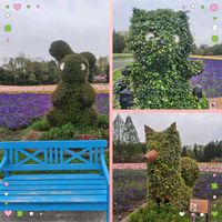 チューリップ,チューリップ,ワイヤープランツ,アイビー,ウサギさんの画像