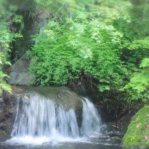 日本庭園,万博記念公園,葉っぱちゃん♫,札幌からの画像