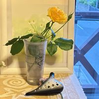 花のある暮らし,緑のある暮らし,新緑の季節,GSに感謝。,いつも笑顔で〜〜♡の画像