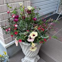 寄せ植え,ギャザリングの画像