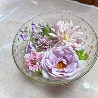 花のある暮らし,緑のある暮らし,新緑の季節,GSに感謝。,いつも笑顔で〜〜♡の画像