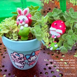 アロマティカス,アロマティカス　ライムシャワー,サビサビ,植物のある暮らし,繋がりに感謝✨の画像