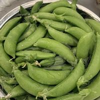 スナップエンドウ,家庭菜園,庭の画像