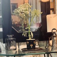 ホワイトレースフラワー（毒芹擬）,花言葉,花のある暮らし,誕生花,GS映えの画像