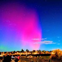 自然,花のある暮らし,緑のある暮らし,そら,やまの画像