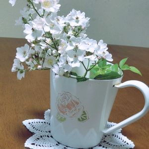 ハーブのある暮らし,優しい時間,❤️ありがとうございます❤️,世界は平和になります,幸せ満ちるの画像