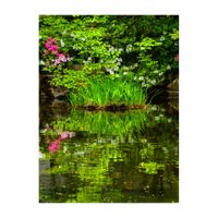 アヤメ,ツツジ,日本庭園の画像