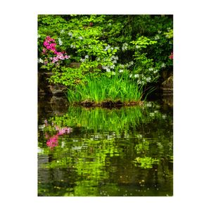 アヤメ,ツツジ,日本庭園の画像