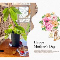 イチゴ,アジアンタム,オオバキリン,観葉植物,我が家のペットの画像