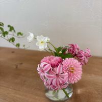 ニリンソウ,ヒヤシンス,お花遊び,チロリアン・デージー,庭の花の画像