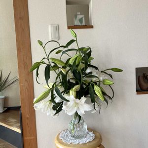 階段/廊下の画像