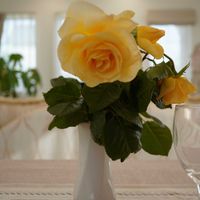 パキラ,パキラ,バラ,バラ,薔薇の画像