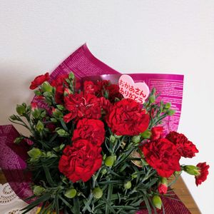 カーネーション,花束,母の日プレゼント,ナデシコ科,今日のお花の画像
