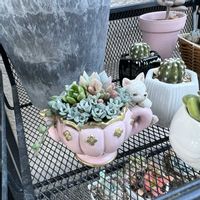 寄せ植えの画像