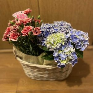 アジサイ,カーネーション,母の日,iPhone撮影,階段/廊下の画像