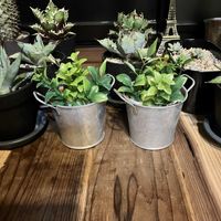 観葉植物,母の日,グリーンのある暮らし,フェイク・造花,インテリアの画像