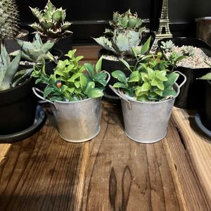 観葉植物,母の日,グリーンのある暮らし,フェイク・造花,インテリアの画像