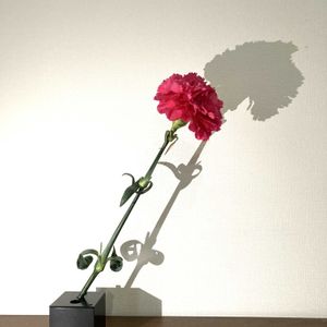 カーネーション,カーネーション,一輪挿し,花瓶,山野草の画像