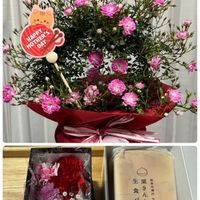 カーネーション,クリスマスローズ,スターチス,かすみ草,フキの画像