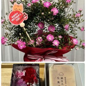 カーネーション,クリスマスローズ,スターチス,かすみ草,フキの画像