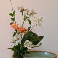 アルストロメリア,スターチス,ルスカス,ネズミモチの花,私の生け花の画像