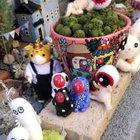 パッションフルーツ,マリーゴールド,レモンバーム,パープルヘイズ,モナンティス・ポリフィラの画像