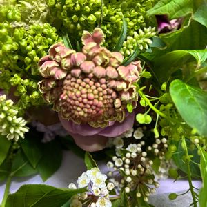 スカビオサ,バラマチルダ,バラマチルダ,秋色　紫陽花,嫁からの画像