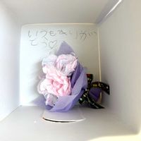 カーネーション,手作りカーネーション,手作りの画像