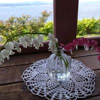 タイツリソウの画像