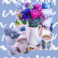カーネーション,ガーベラ,バラ,薔薇,ガーデニングの画像