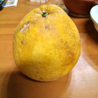 ミカンの画像