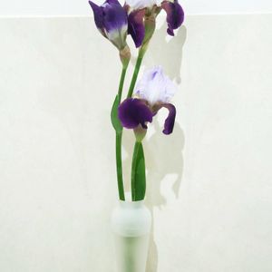 ジャーマンアイリス,花瓶,花のある暮らし,植物のある暮らし,花瓶の花の画像