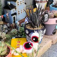ノイバラ,十二の巻,ヘリクリサム,名無しのミニバラ,今日のお花の画像