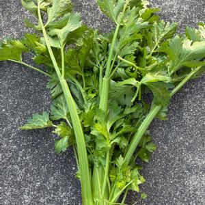 セロリ,花が好き,無農薬❤家庭菜園,野菜が好きの画像