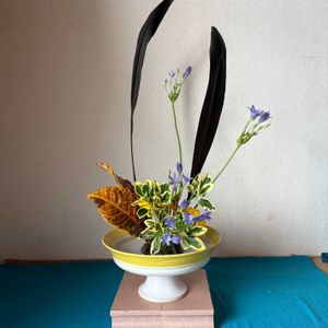 ガーベラ,クロトン,フローディア,生け花,池坊の画像