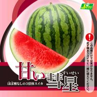 スイカ,甘い彗星,カネコ種苗の画像