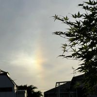 モミジ,ハロ現象,半分そら,雲仲間,幻日(げんじつ)の画像