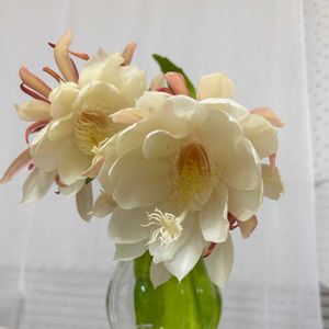 ガーデニング,花のある暮らし,わんこと一緒,バルコニスト,虫にも負けないの画像
