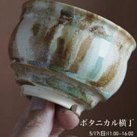 サボテン,ぼくモル鉢,ぼくモル ポタリー,多肉植物,観葉植物の画像