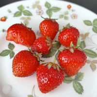 イチゴ 蜜香,いい香り,毎年ありがとう,家庭菜園,庭の画像