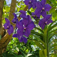 花のある暮らし,チーム福岡,お出かけ先の画像