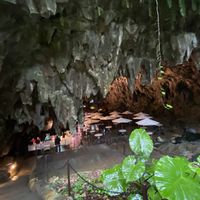 ガジュマル,くわずいも,花のある暮らし,お花は癒し,ガンガラーの谷の画像