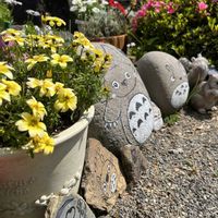 ビデンス,ビデンス  レモンサワー,花のある暮らし,お花のある生活,癒しの場所の画像