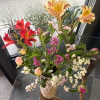 スターチス,スターチス,芍薬,芍薬,アストロメリアの画像
