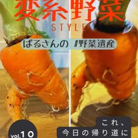 ニンジン,野菜のある暮らし,野菜遺産,野菜遺産PROJECT,家庭菜園の画像