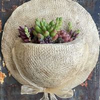 多肉植物いろいろ,寄せ植え,多肉植物,多肉寄せ植え,みんな最高の画像