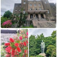 ブラシの木,仙厳園,鹿児島,おまけpic,バラと夢CLUBの画像