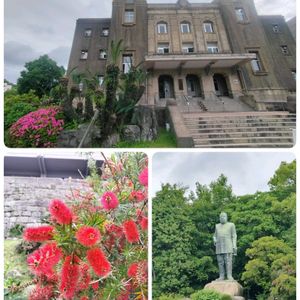 ブラシの木,仙厳園,鹿児島,おまけpic,バラと夢CLUBの画像
