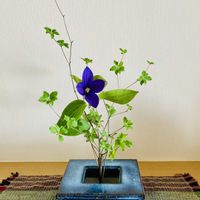 クレマチス,ドウダンつつじ,いけばな,花のある暮らしの画像