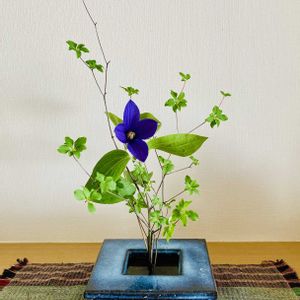 クレマチス,ドウダンつつじ,いけばな,花のある暮らしの画像